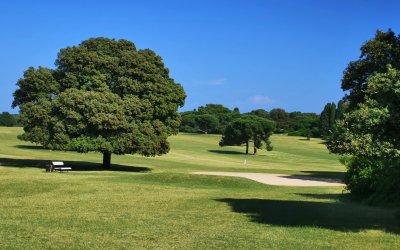 TURNIR 12. BIRRA OPEN 2020. BRIJUNI – SUBOTA 05.09.2020.